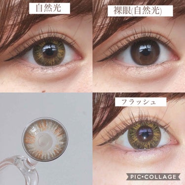 Victoria Victoria(ヴィクトリア）1dayのクチコミ「
カラコン👀﻿
﻿
﻿
﻿
ーーーーーーーーーーーー﻿
﻿
﻿
🖇#ヴィクトリア ワンデー﻿
.....」（2枚目）