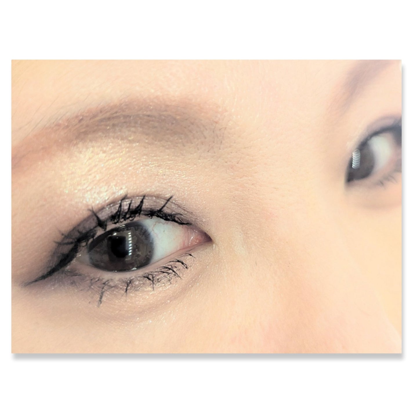 ヴォワヤジュールアイシャドウパレット/NARS/アイシャドウパレットを使ったクチコミ(2枚目)