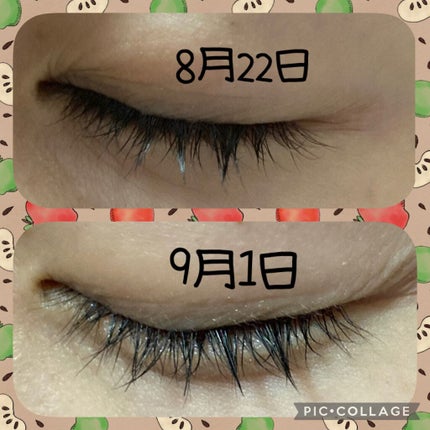 スカルプD ボーテ ピュアフリーアイラッシュセラム プレミアム/アンファー(スカルプD)/まつげ美容液を使ったクチコミ(5枚目)