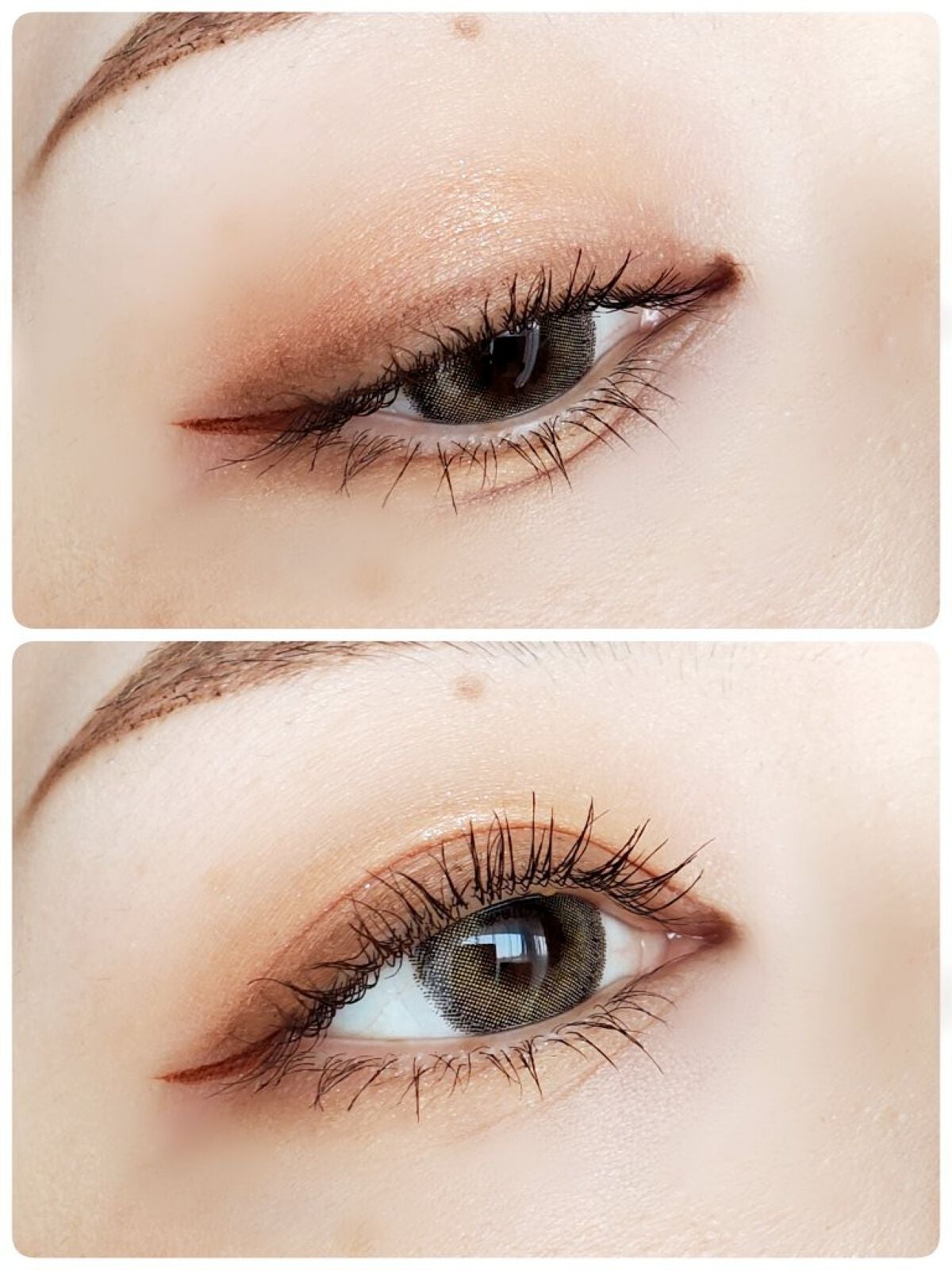 シャドウパレット/dasique/アイシャドウパレットを使ったクチコミ(7枚目)