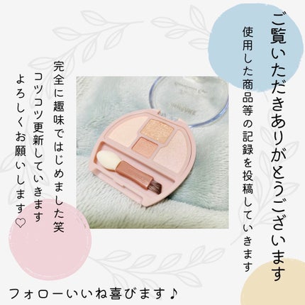 プランぷくコーデアイズ/キャンメイク/パウダーアイシャドウを使ったクチコミ(3枚目)