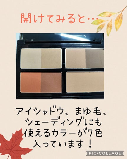 KATE 魂コレクション デザイニングシェードパレット3D/KATE/シェーディングを使ったクチコミ(3枚目)