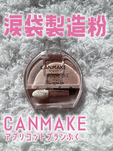 話題になってたCANMAKEの涙袋製造パレット💕


𝑪𝑨𝑵𝑴𝑨𝑲𝑬 𝑻𝑶𝑲𝒀𝑶 
プランぷくコーデアイズ
01アプリコットプランぷく

話題になってたコレ。今更レビュー(笑)
付属のチップは片方は影を