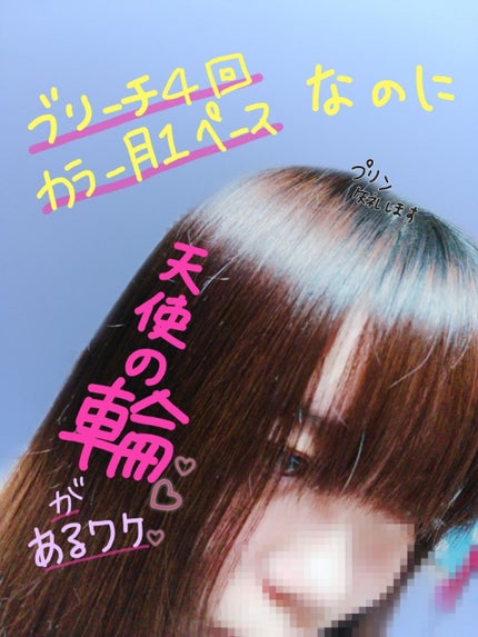 オイルトリートメント #EXヘアオイル/ルシードエル/ヘアオイルを使ったクチコミ(1枚目)