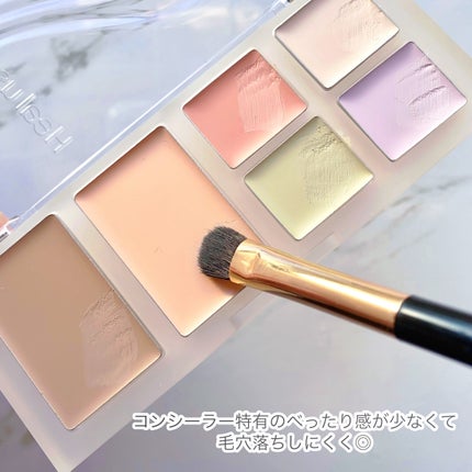 ブリージングコンシーラーパレット/Healus/パレットコンシーラーを使ったクチコミ(3枚目)