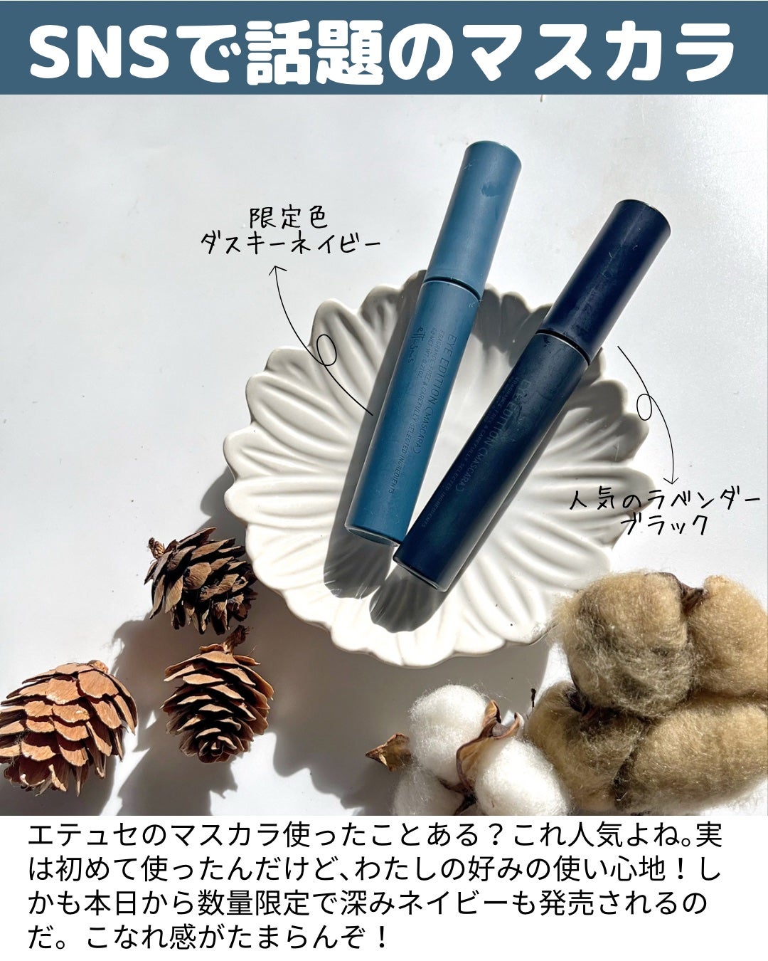 エテュセ アイエディション(マスカラ)/ettusais/マスカラを使ったクチコミ(2枚目)