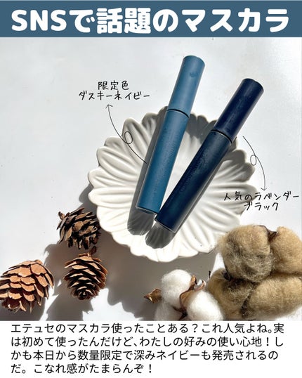 エテュセ アイエディション(マスカラ)/ettusais/マスカラを使ったクチコミ(2枚目)