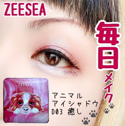 アニマルアイシャドウ(4シェード) D03 癒し/ZEESEA/アイシャドウパレットを使ったクチコミ(1枚目)