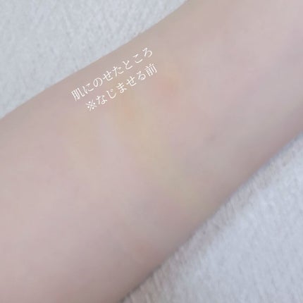 カラーブレンドファンデーション/ディエム クルール/パウダーファンデーションを使ったクチコミ(4枚目)