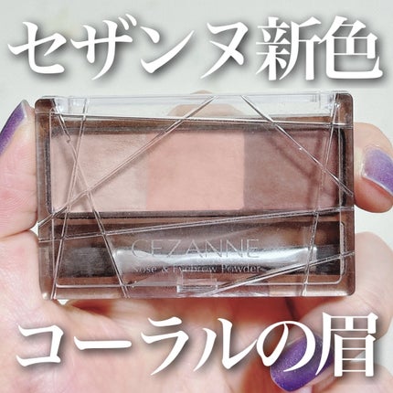 ノーズ&アイブロウパウダー/CEZANNE/パウダーアイブロウを使ったクチコミ(1枚目)