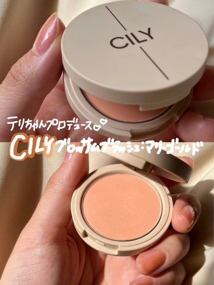 ブロッサムブラッシュ /CILY/パウダーチークを使ったクチコミ(2枚目)