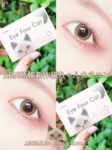 Eye Four Cat/LENSME/カラーコンタクトレンズを使ったクチコミ（1枚目）