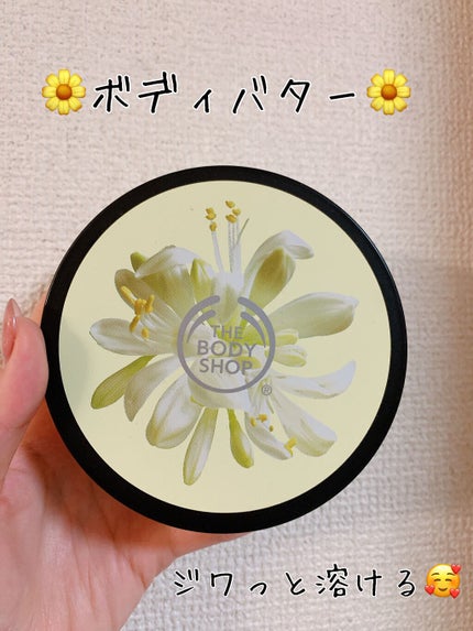 ボディバター モリンガ/THE BODY SHOP/ボディクリームを使ったクチコミ(2枚目)