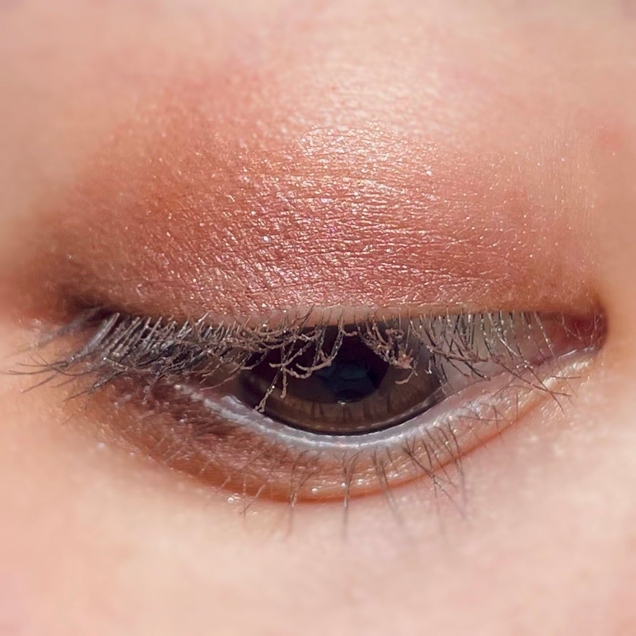 パノラマデザイン アイパレット/Visée/アイシャドウパレットを使ったクチコミ(6枚目)