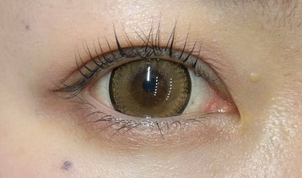 キングダム 束感カールマスカラ/キングダム/マスカラを使ったクチコミ(3枚目)