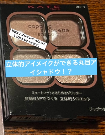 ケイト ポッピングシルエットシャドウ/KATE/アイシャドウパレットを使ったクチコミ(1枚目)