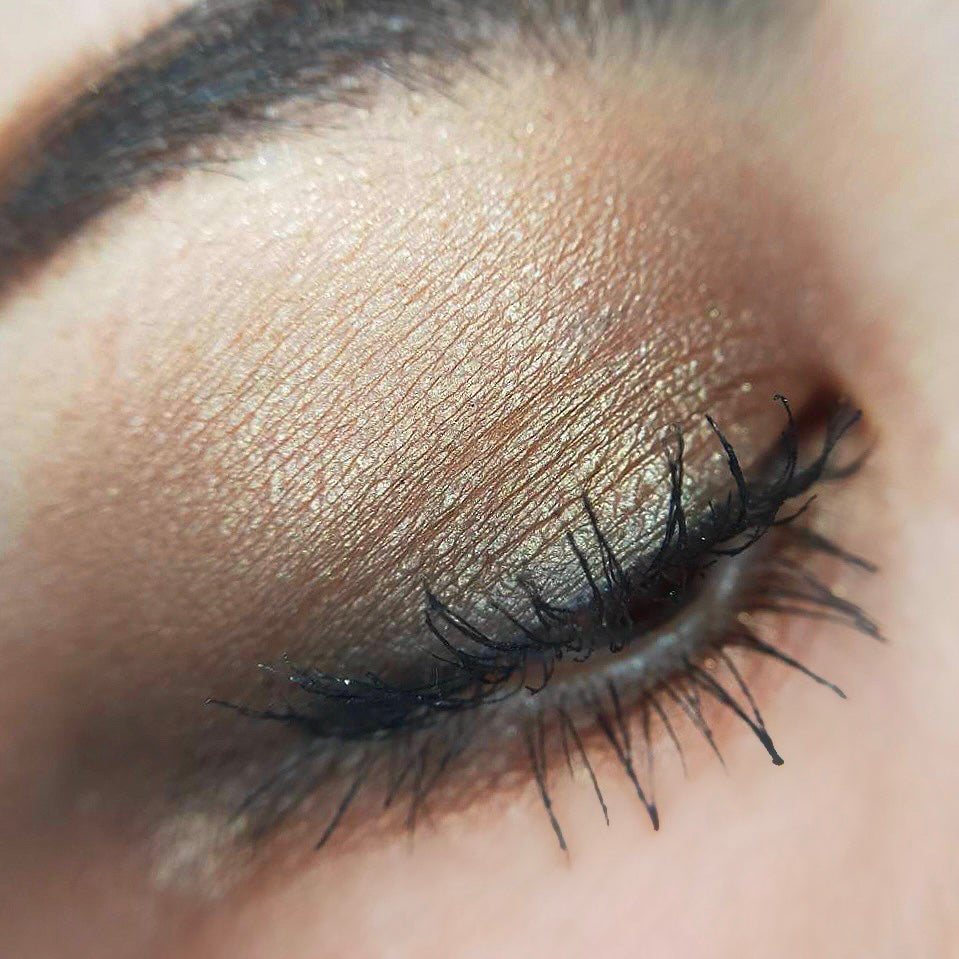 コネクト イン カラー アイシャドウ パレット × 6/M・A・C/アイシャドウパレットを使ったクチコミ(9枚目)