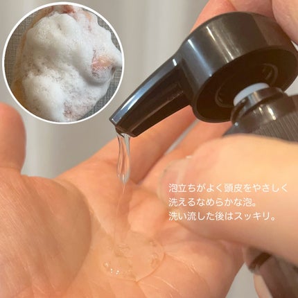 薬用スカルプケアシャンプー/トリートメント モイスト/WELLP/市販シャンプーを使ったクチコミ(2枚目)