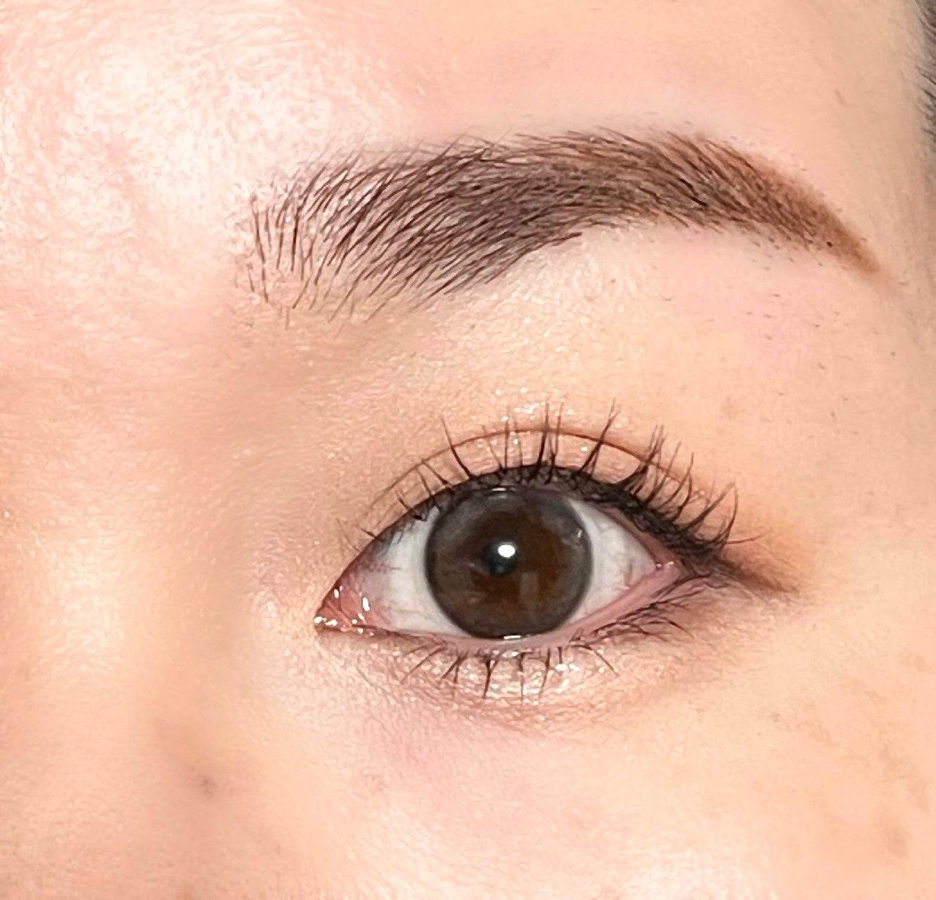 プランぷくコーデアイズNeo/キャンメイク/アイシャドウを使ったクチコミ(5枚目)