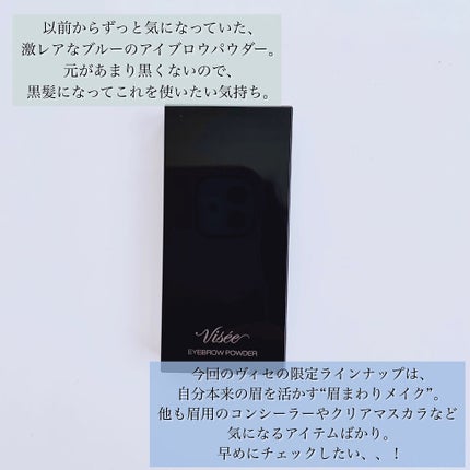 ヴィセ リシェ アイブロウパウダー/Visée/パウダーアイブロウを使ったクチコミ(4枚目)