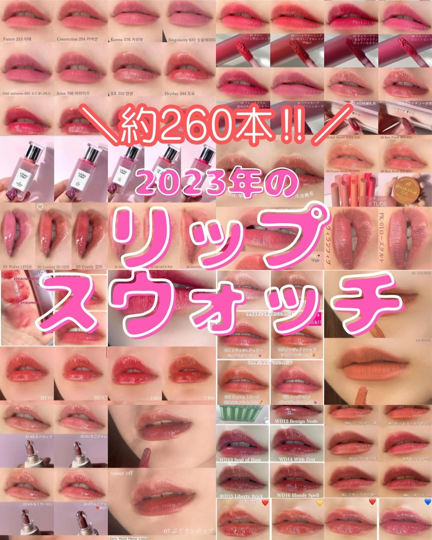 リップまとめ あなたはどっち派?haomii・JUDYDOLL・Joocyee・Oddtype・mude