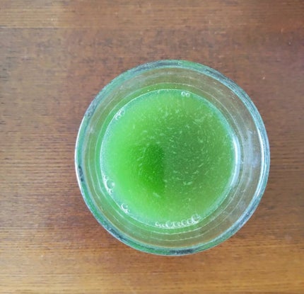 青汁美人/MTメタトロン/健康サプリメントを使ったクチコミ(2枚目)