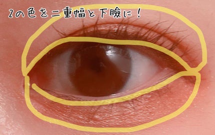 nuance eye blend/nuance eye blend/アイシャドウパレットを使ったクチコミ(5枚目)