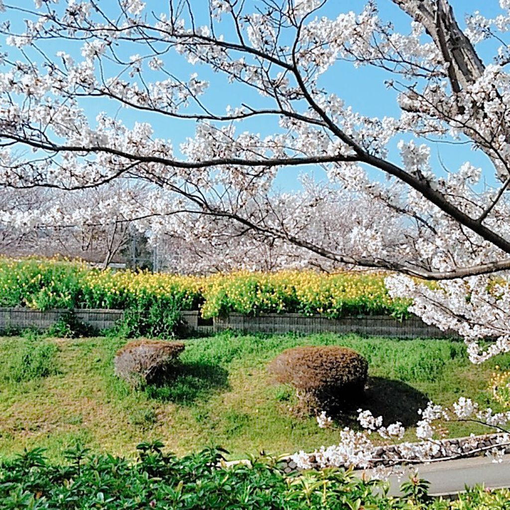 フィットミーリキッドファンデーション/MAYBELLINE NEW YORK/リキッドファンデーションを使ったクチコミ（3枚目）