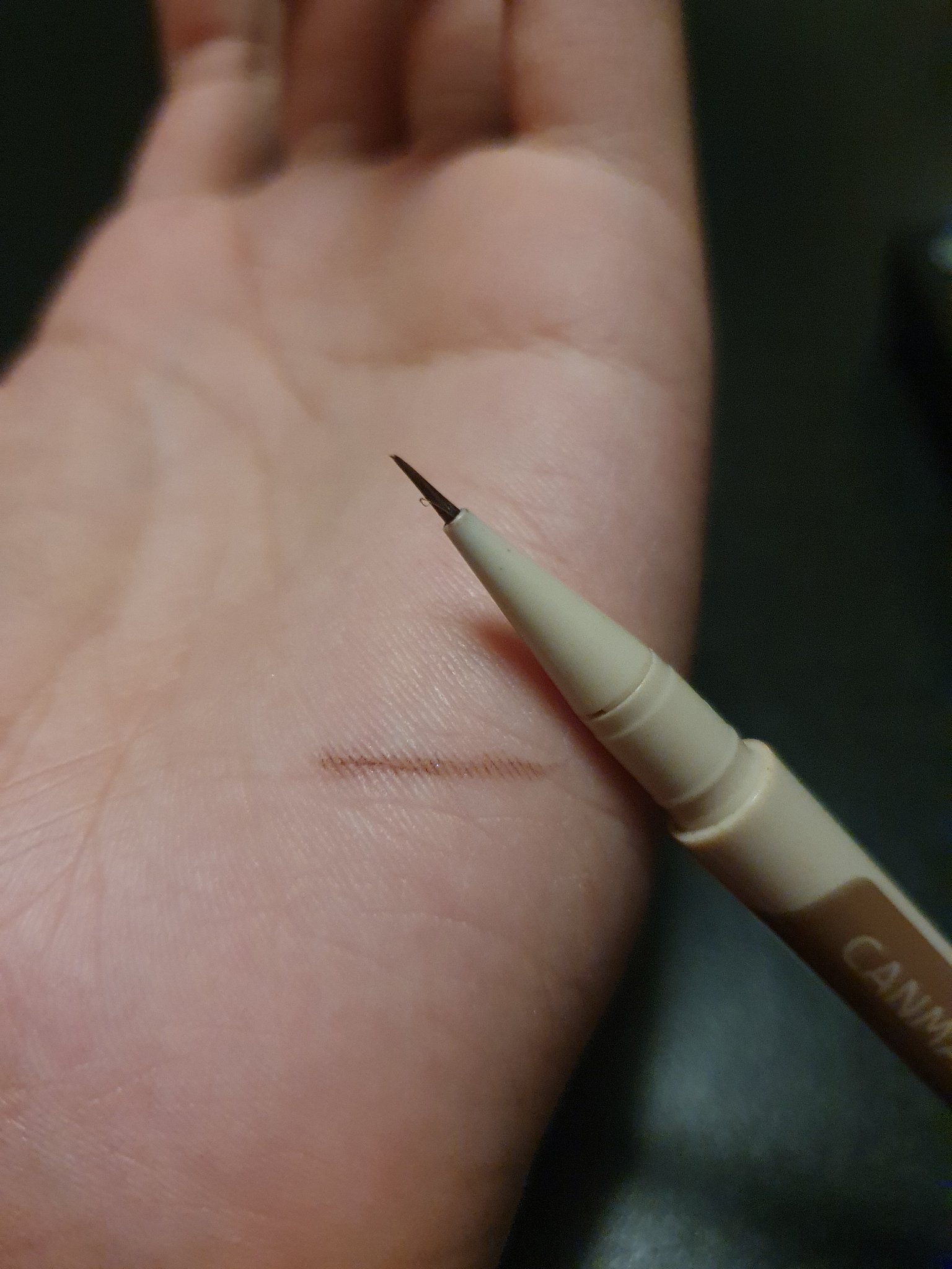 3wayスリムシェードライナー 02 アッシュブラウン/キャンメイク/リキッドアイライナーを使ったクチコミ（2枚目）