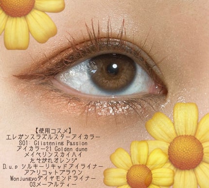 ラズル アイカラー/エレガンス ラズル /単色アイシャドウを使ったクチコミ(1枚目)