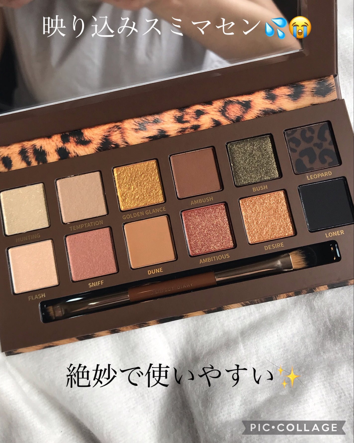 エクスプローラ12色 動物アイシャドウパレット/PERFECT DIARY/アイシャドウパレットを使ったクチコミ(2枚目)