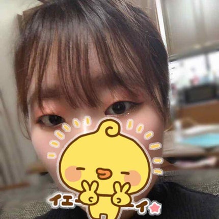 プライムリキッドアイライナー リッチキープ/ヒロインメイク/リキッドアイライナーを使ったクチコミ(2枚目)