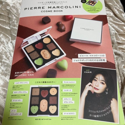 PIERRE MARCOLINI COSME BOOK/宝島社/ジェル・クリームアイシャドウを使ったクチコミ(3枚目)
