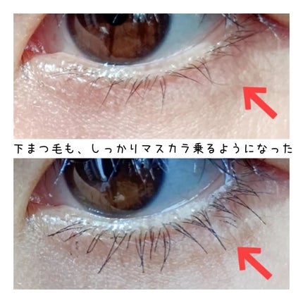 アイラッシュセラム/Bio Lucia(ビオルチア)/まつげ美容液を使ったクチコミ(2枚目)