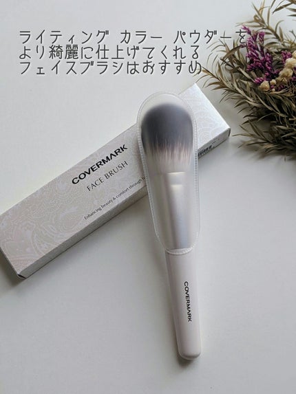 カバーマーク ライティング カラー パウダー/COVERMARK/パウダーチークを使ったクチコミ(4枚目)