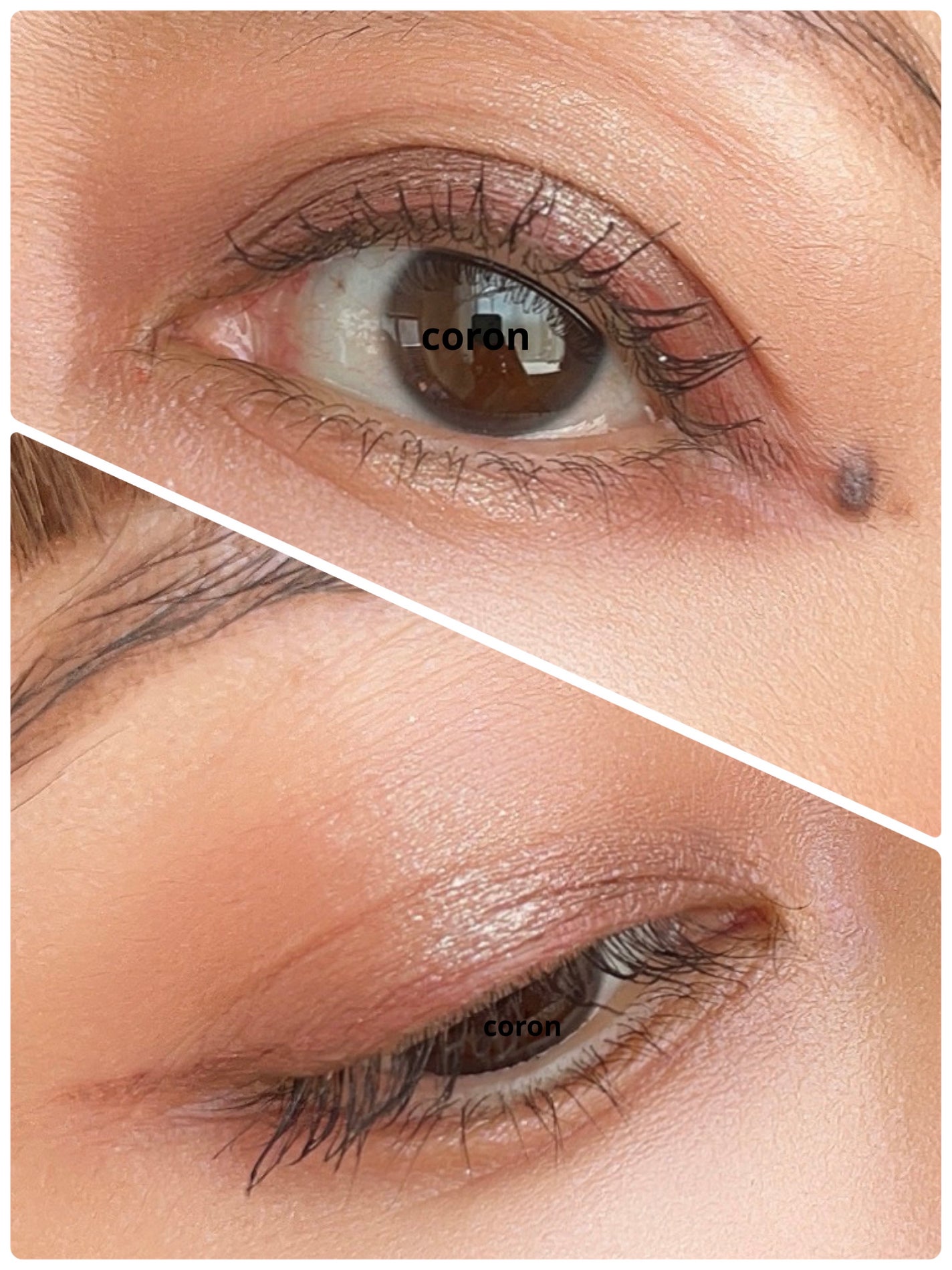 ã·ã°ããã£ãŒ ã«ã©ãŒ ã¢ã€ãº/SUQQU/ã¢ã€ã·ã£ããŠãã¬ããã䜿ã£ãã¯ãã³ãïŒ2æç®ïŒ