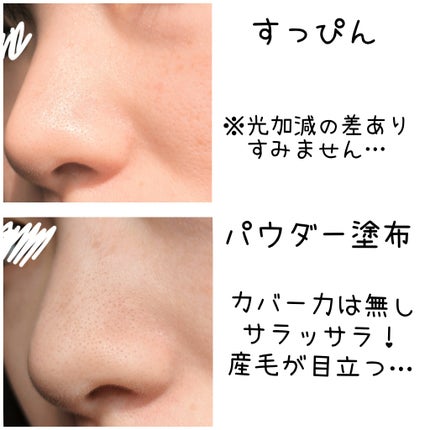 AC シルキールースパウダー/AC MAKEUP/ルースパウダーを使ったクチコミ(2枚目)