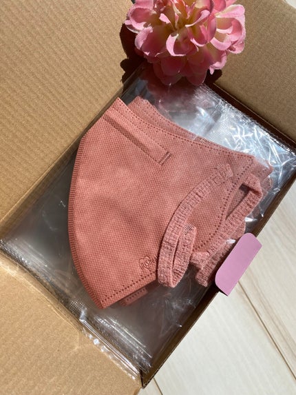 デイリーフィットマスク/アイリスオーヤマ/マスクを使ったクチコミ(3枚目)