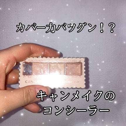 カラーミキシングコンシーラー/キャンメイク/パレットコンシーラーを使ったクチコミ(1枚目)