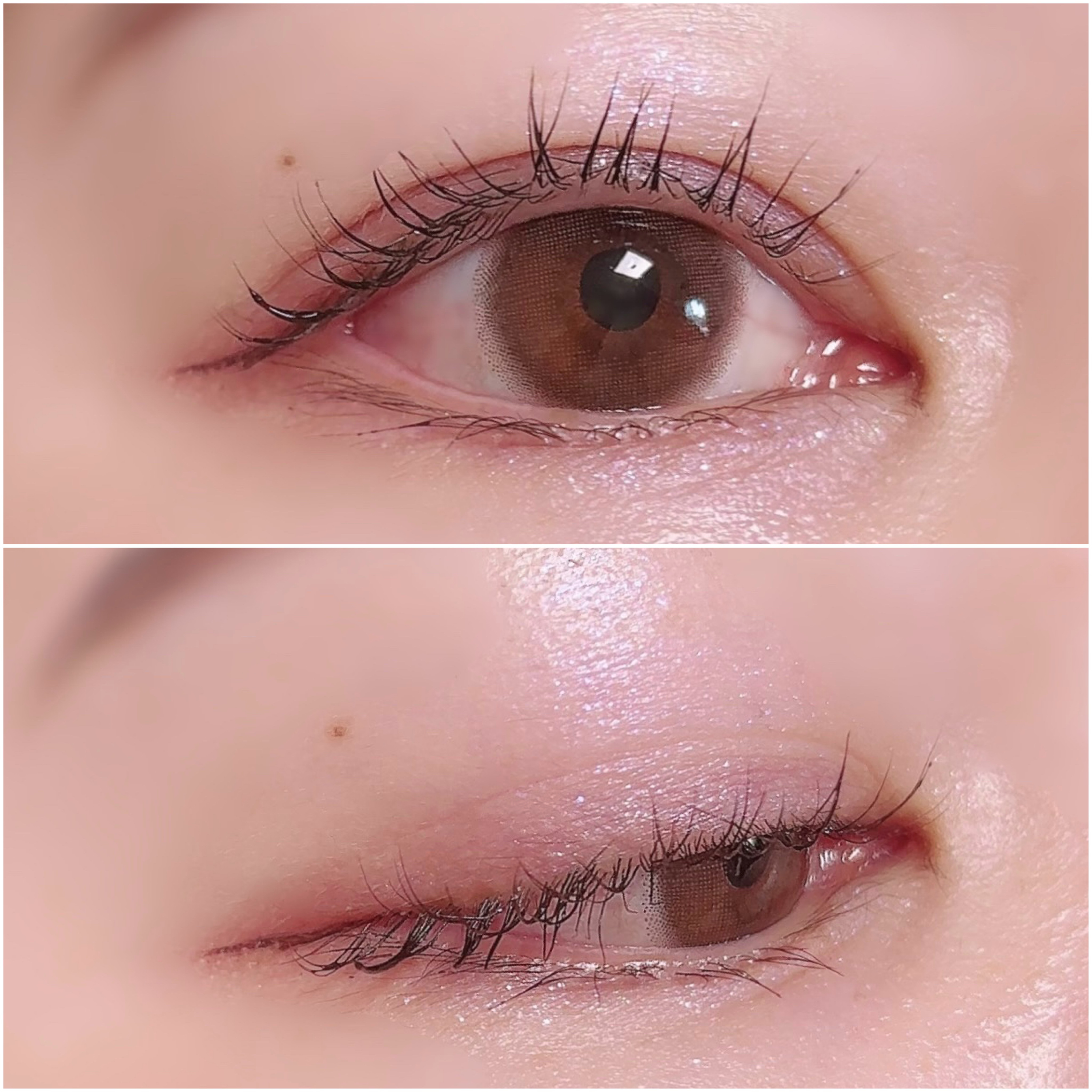 シルキースフレアイズ/キャンメイク/アイシャドウパレットを使ったクチコミ（3枚目）