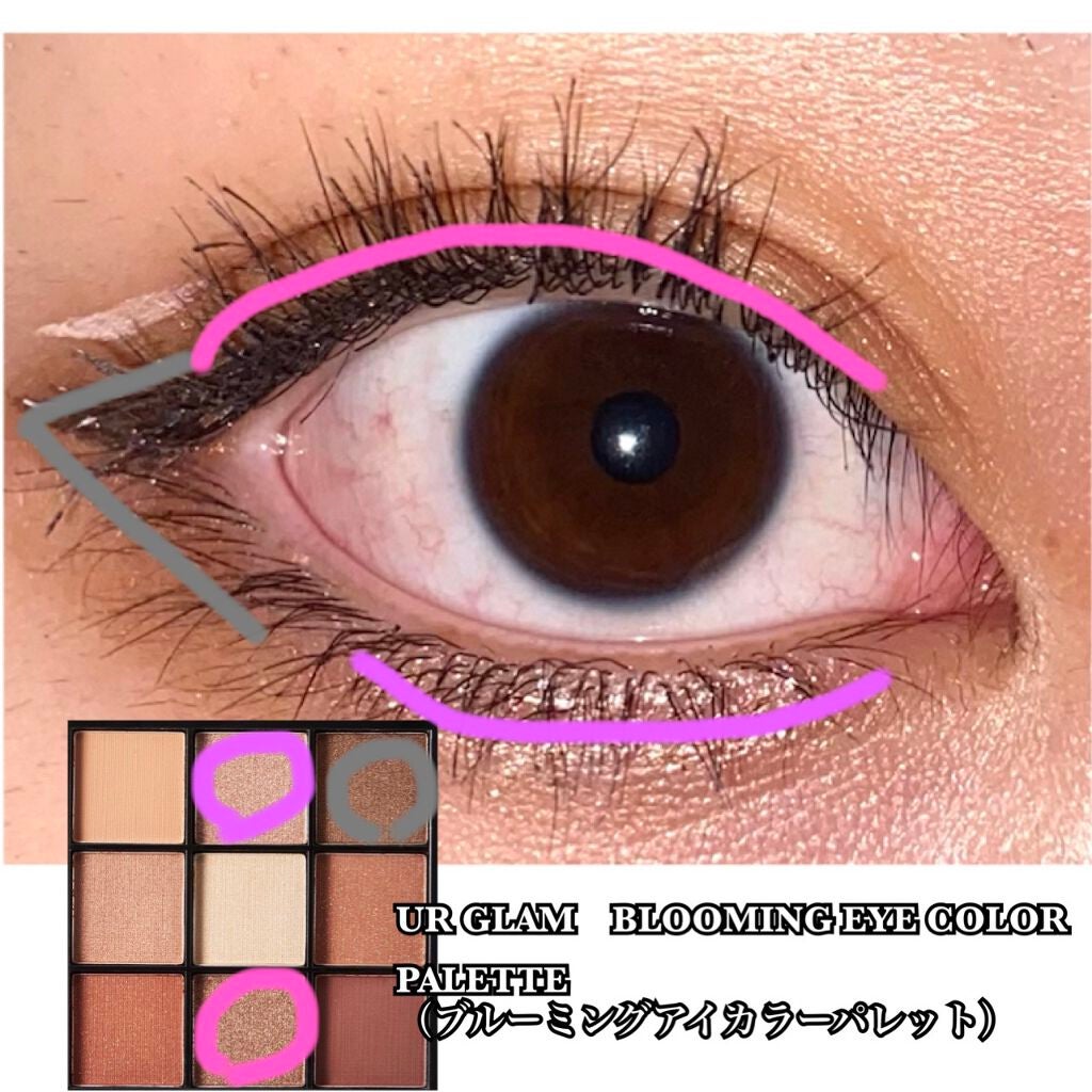UR GLAM BLOOMING EYE COLOR PALETTE/U R GLAM/アイシャドウパレットを使ったクチコミ(2枚目)