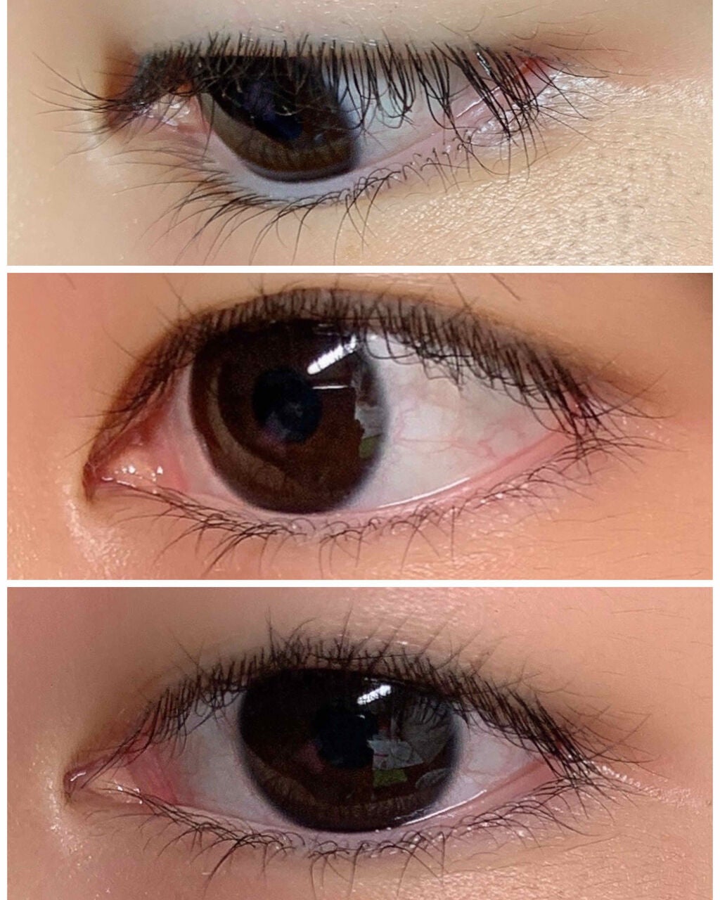 アイラッシュカーラー /SHISEIDO/ビューラーを使ったクチコミ(2枚目)