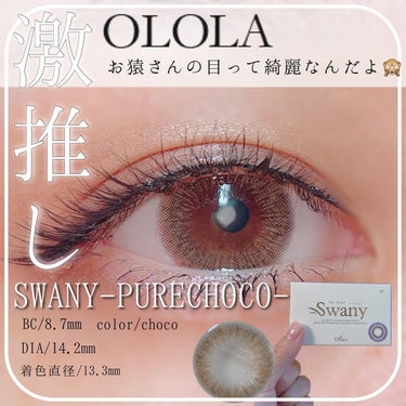 スワニーピュアチョコ(Swany Pure Choco)/OLOLA/カラーコンタクトレンズを使ったクチコミ（1枚目）