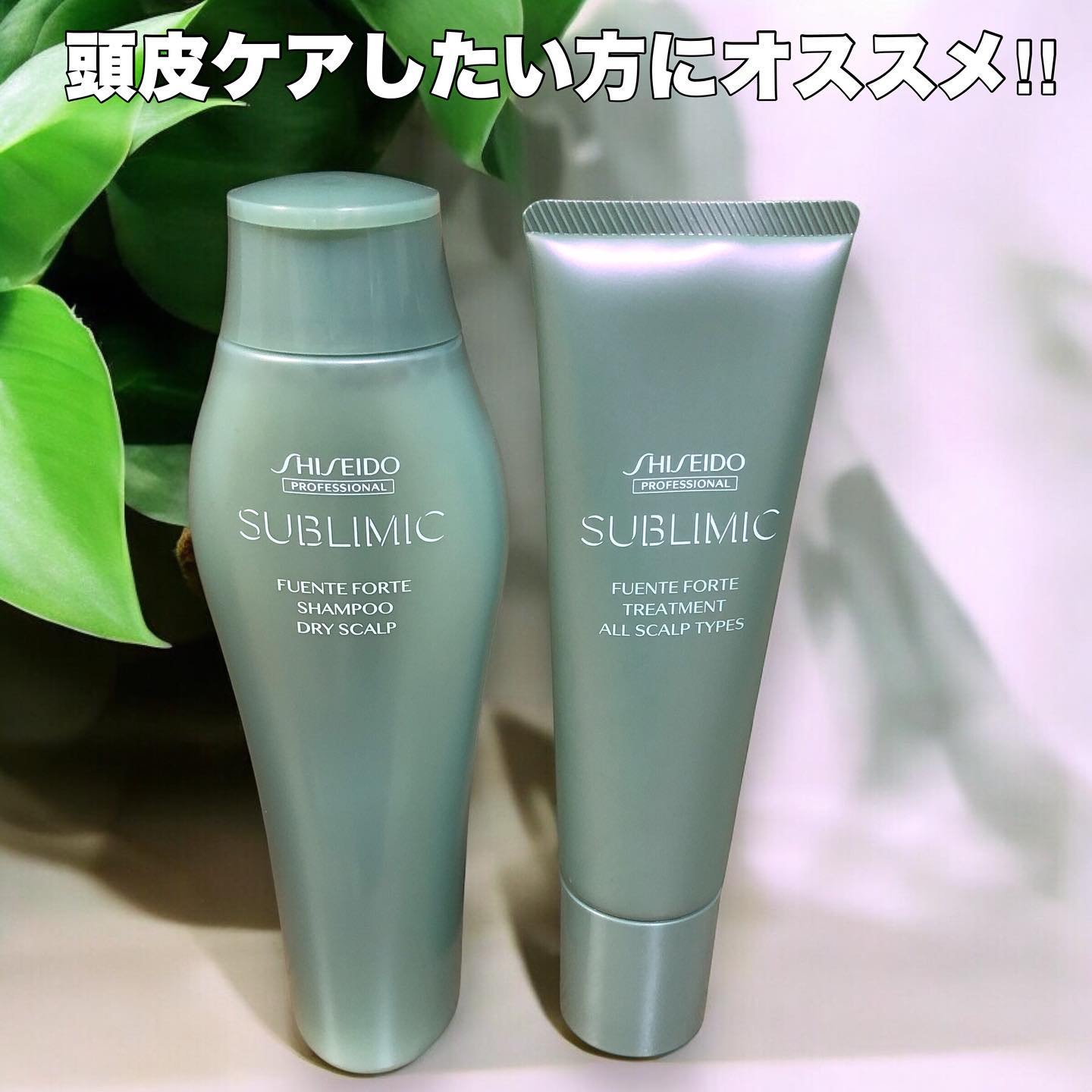 フェンテフォルテ シャンプー（DS）/サブリミック/サロンシャンプーを使ったクチコミ（1枚目）