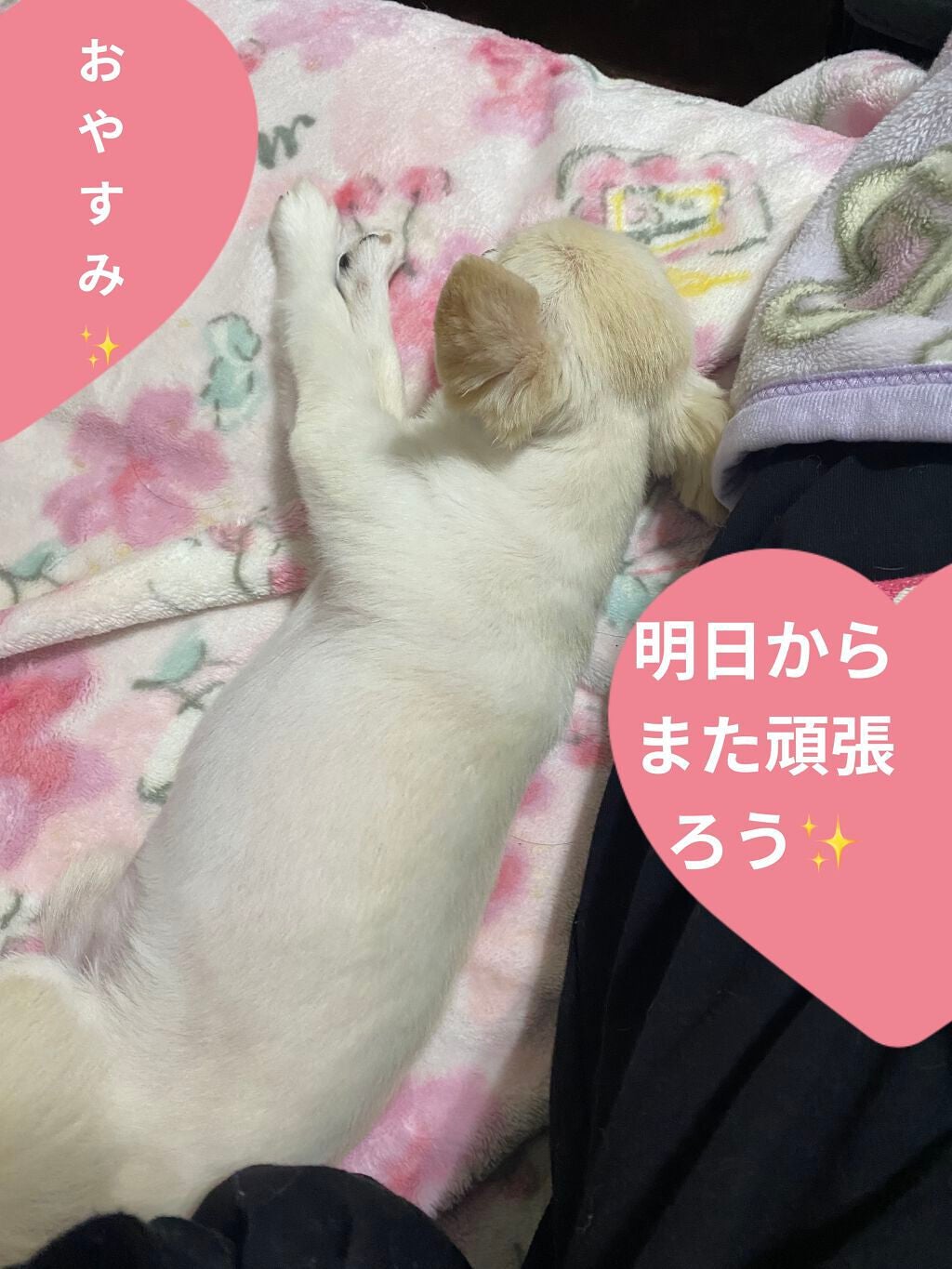 バブ クール フラワースプラッシュ/バブ/炭酸系入浴剤を使ったクチコミ(5枚目)