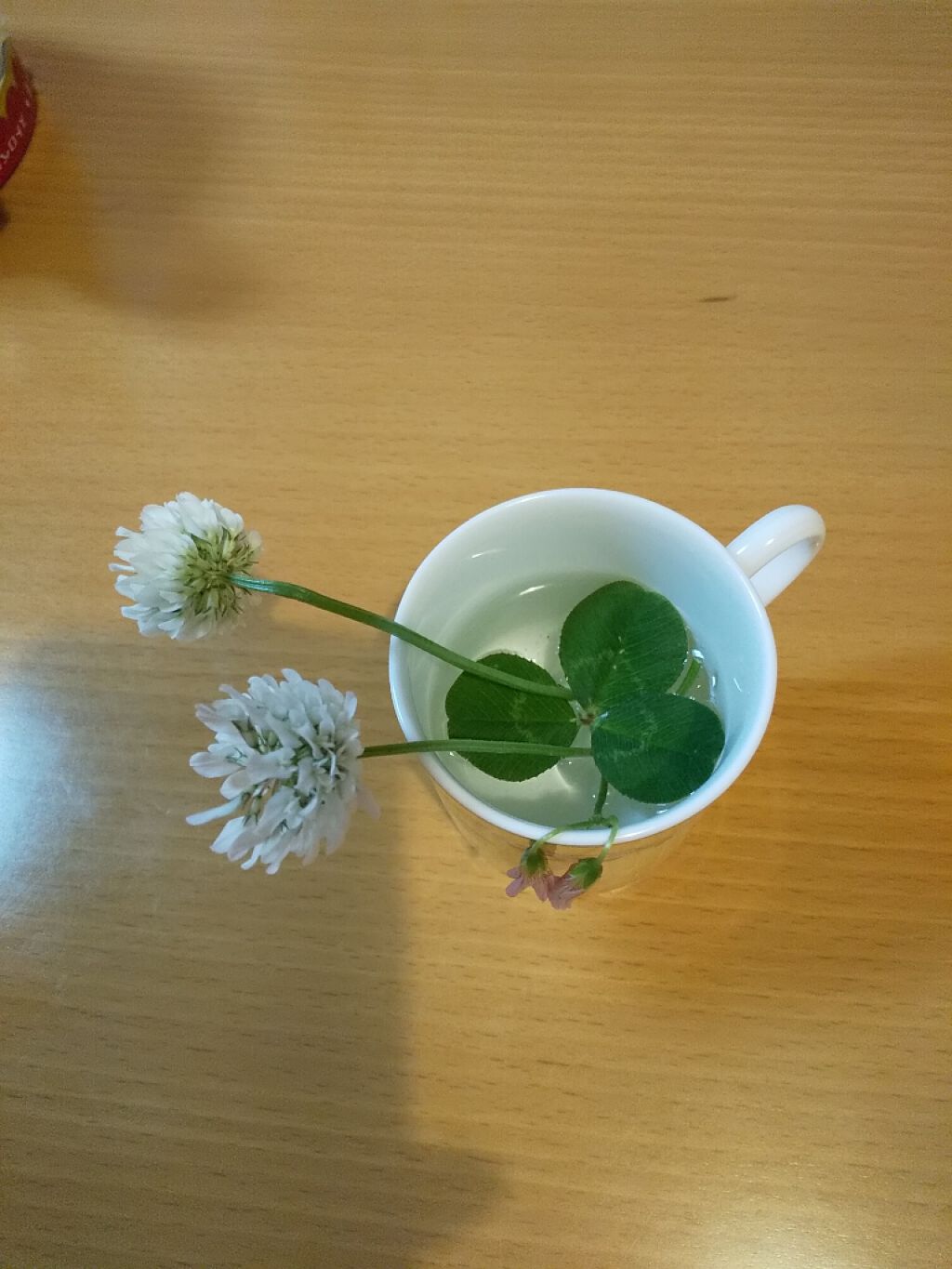 きよ on LIPS 「みつ葉のクローバーのお花です。🍀散歩の途中でたくさん咲いていた..」(2枚目)