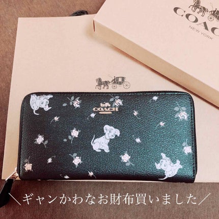 財布/COACH/その他を使ったクチコミ(1枚目)