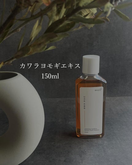 スキンケアトナー/CHAEB GONGGAN/化粧水を使ったクチコミ(4枚目)