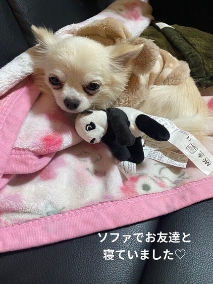 アイ カラー クォード/TOM FORD BEAUTY/アイシャドウパレットを使ったクチコミ(8枚目)