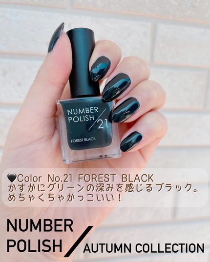 NUMBER POLISH /D-UP/マニキュアを使ったクチコミ(4枚目)